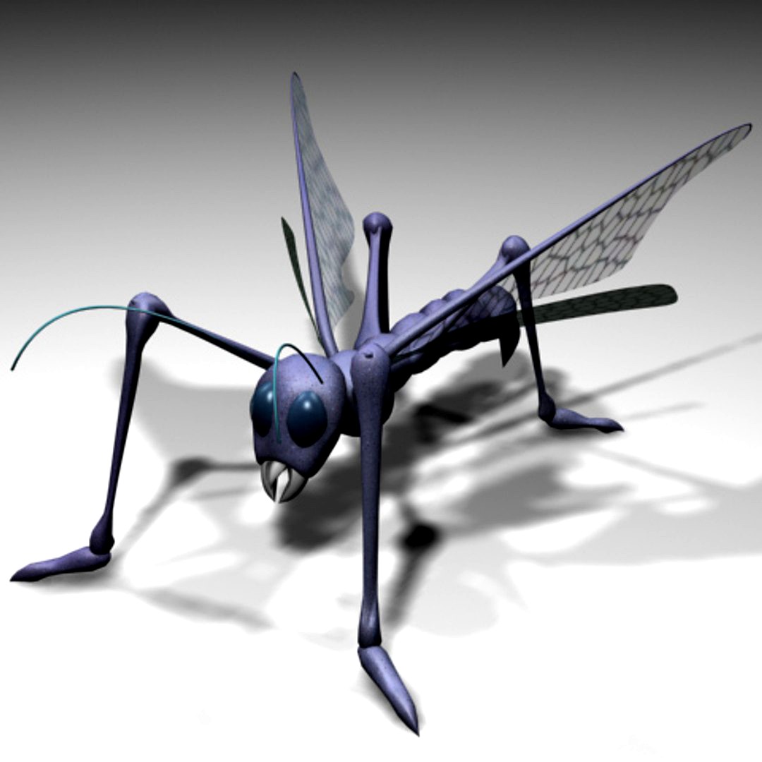 Cool Bug
