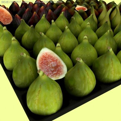 FIGS collection 3D Model