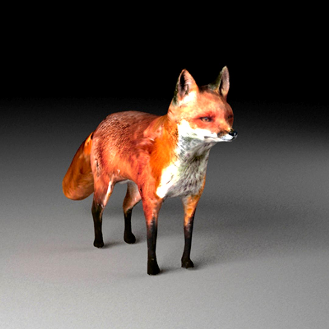 Fox