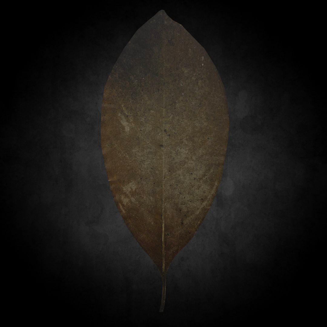 Low Poly Leaf 09