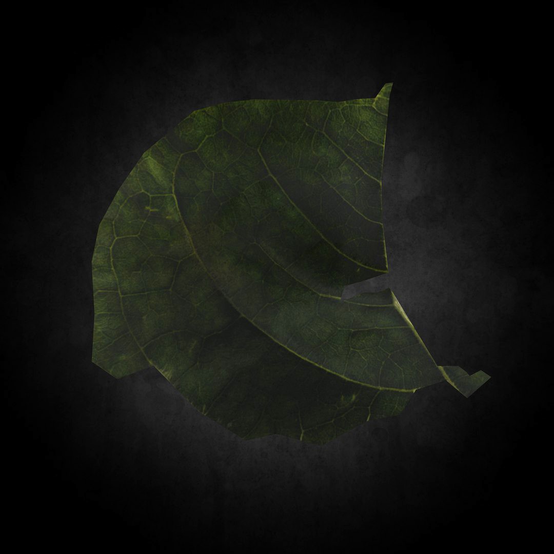 Low Poly Leaf 08