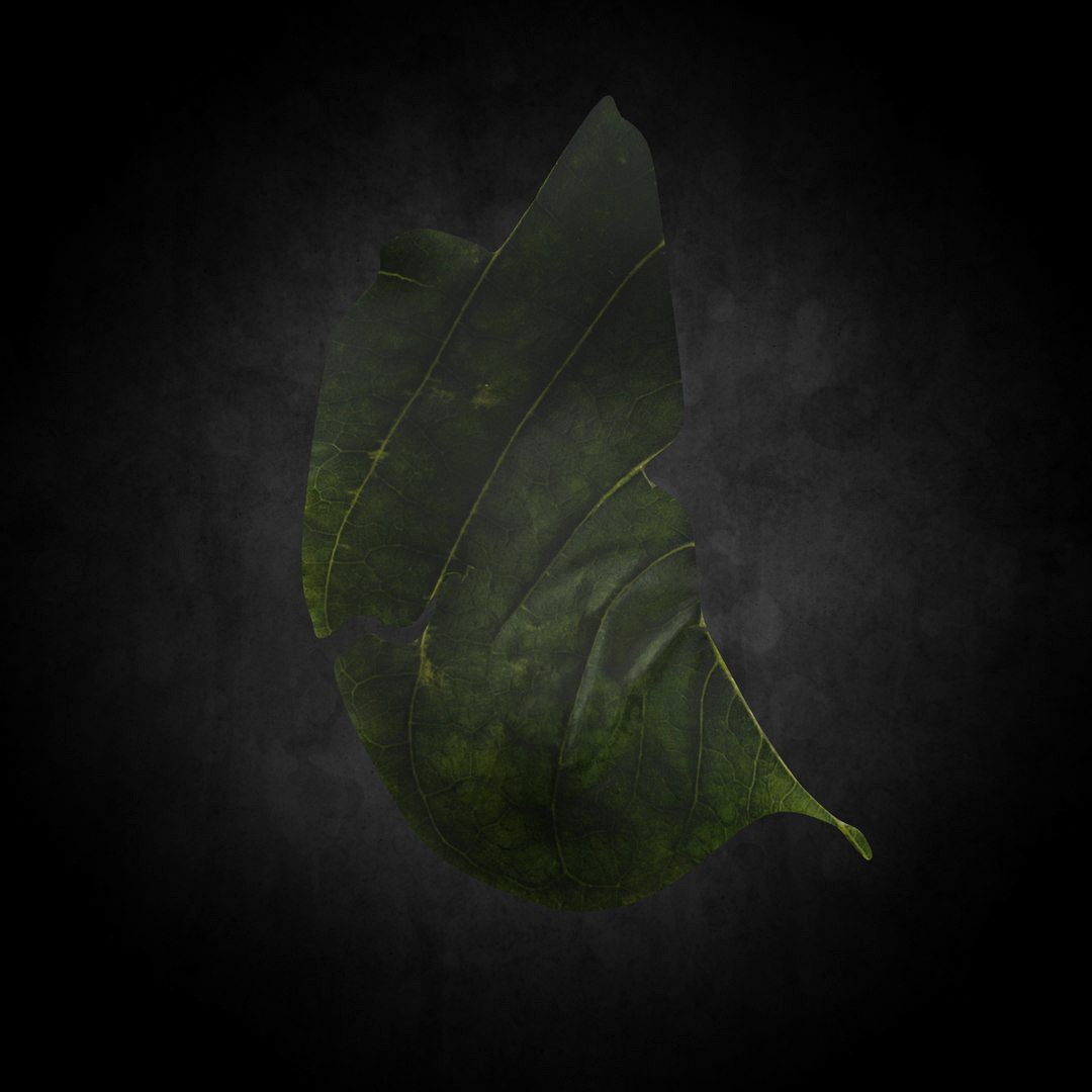 Low Poly Leaf 07