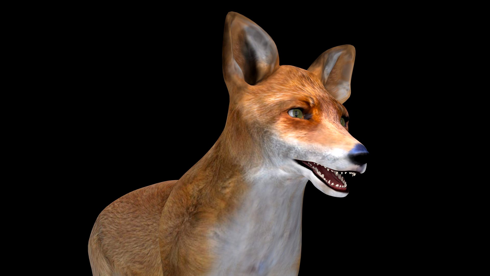 Fox model