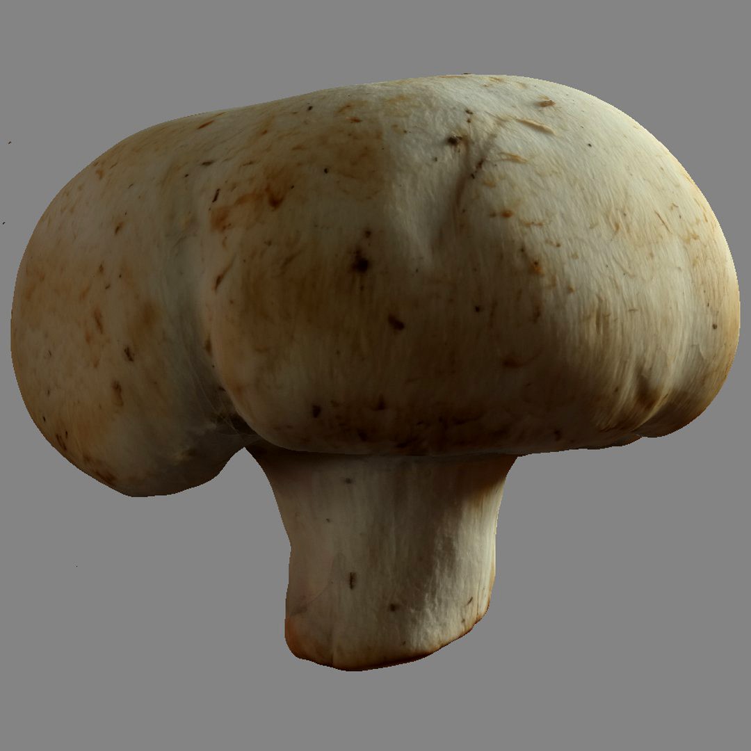 Mushroom 22