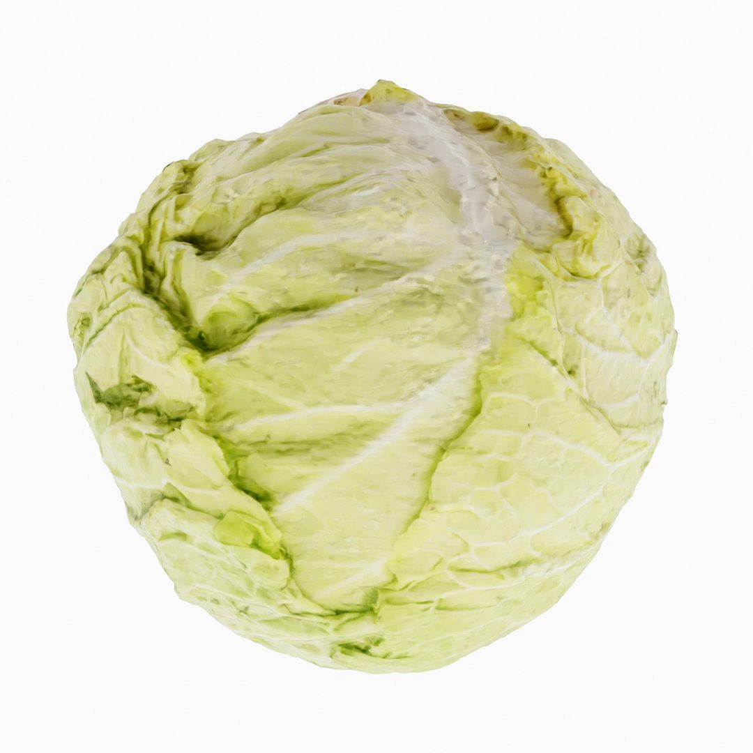 Cabbage