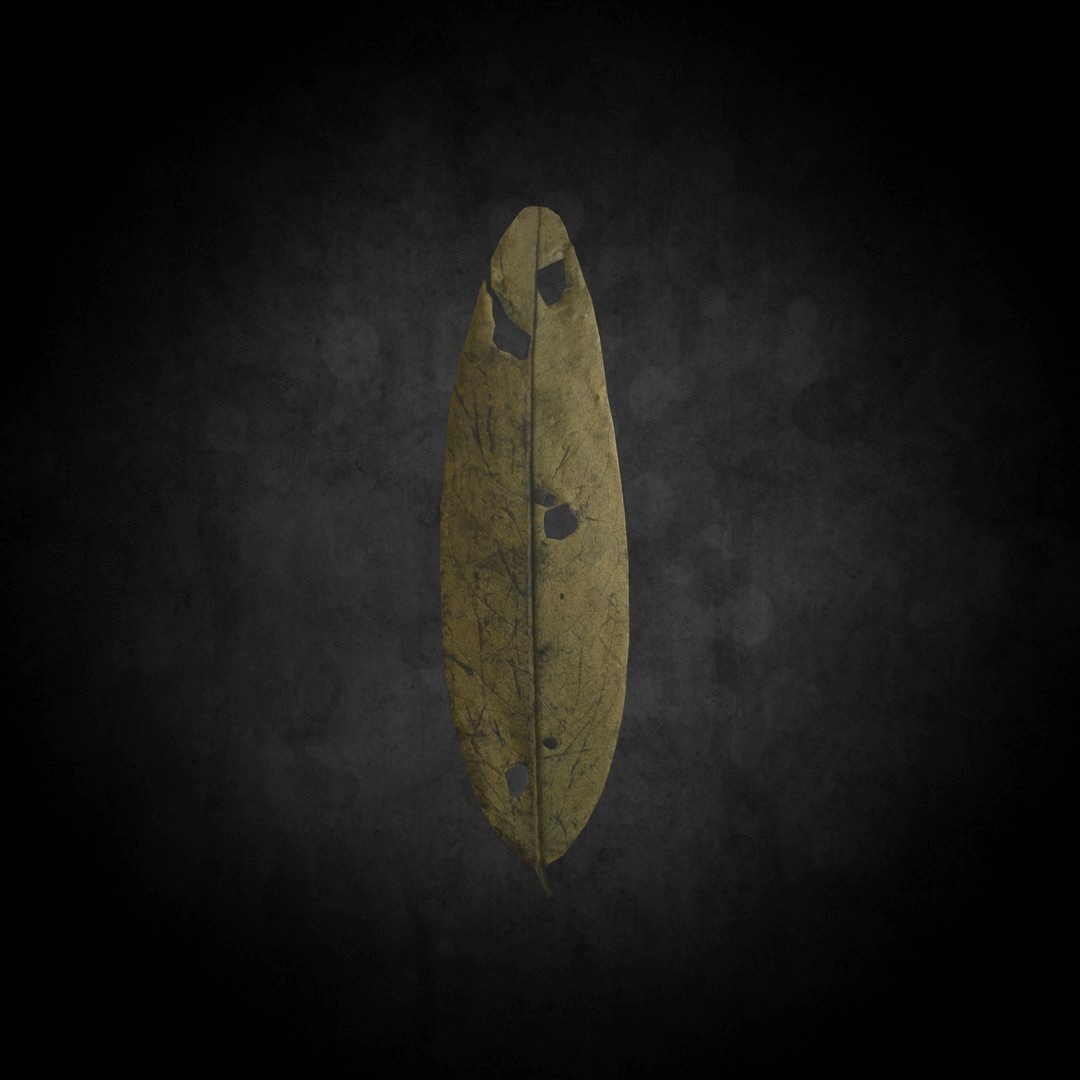 Low Poly Leaf 019