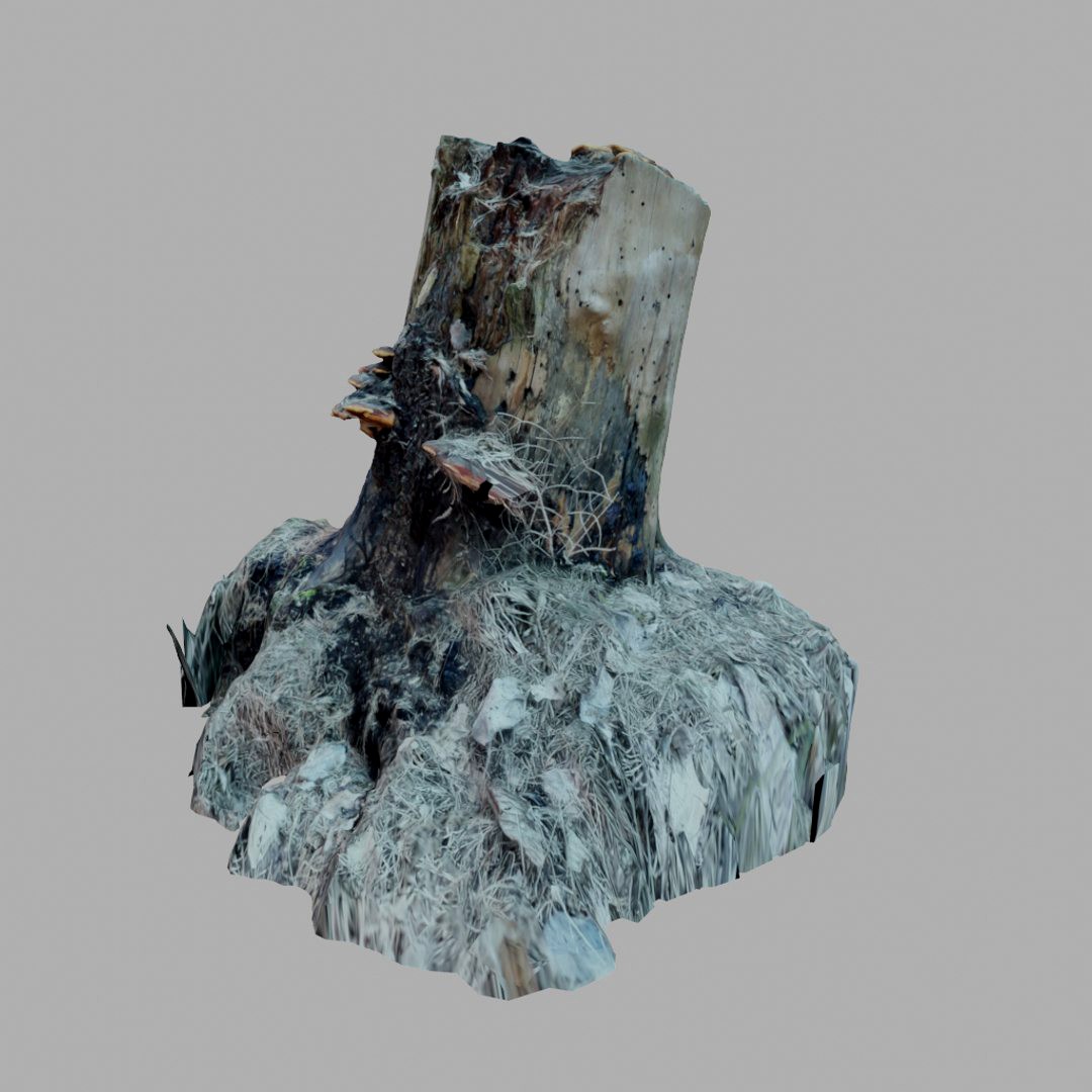 Stump 4