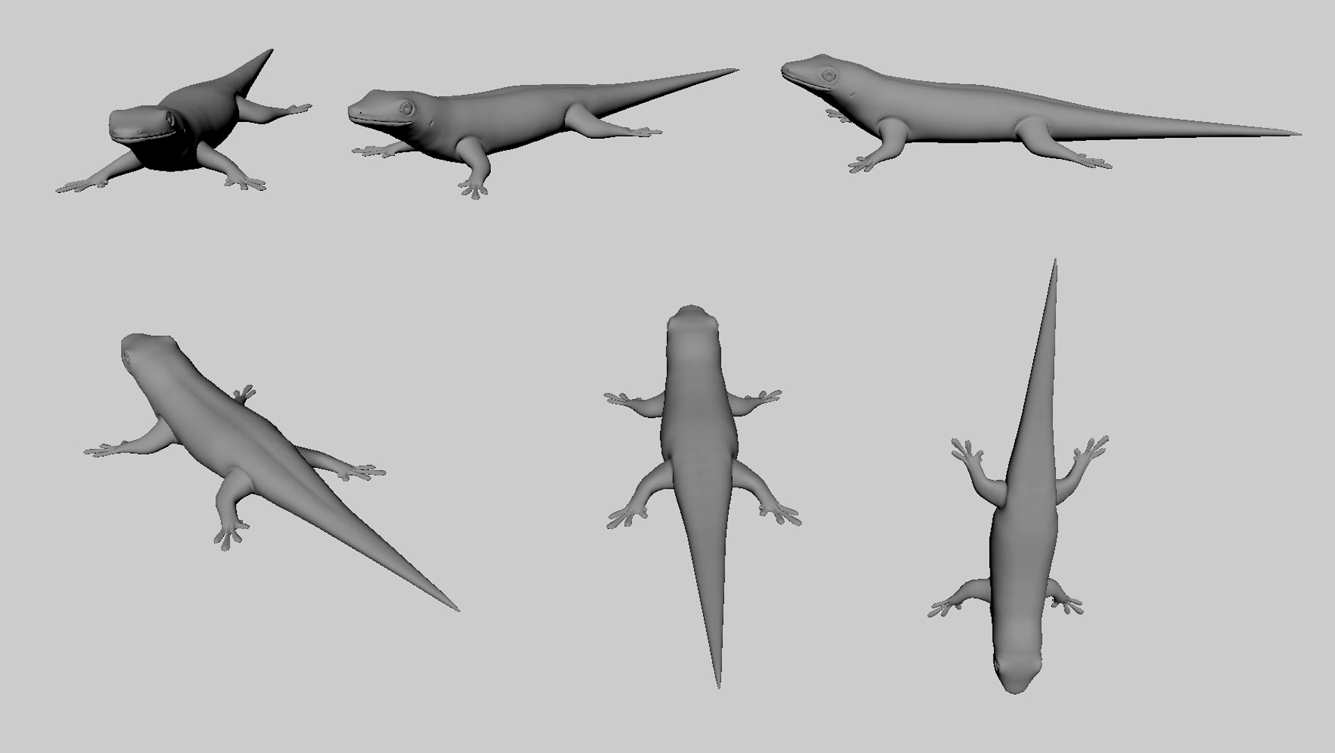 Gecko Lizard