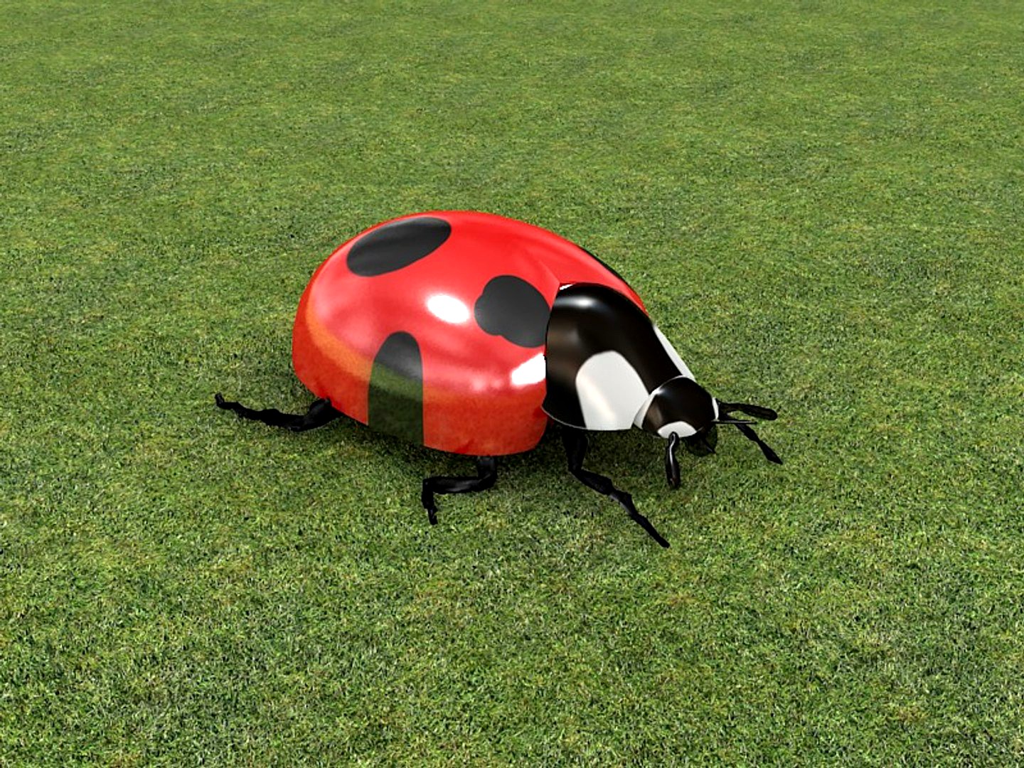Ladybird