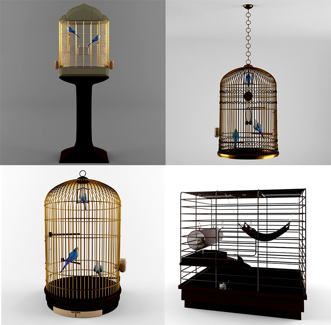 cages with parrots and a rat