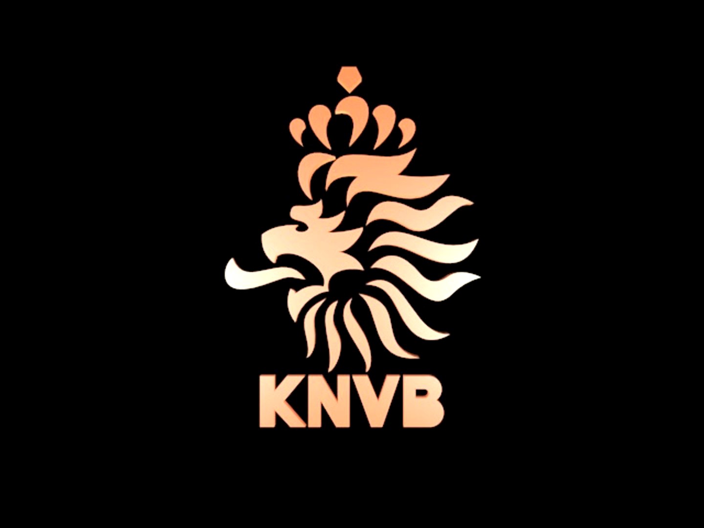 Netherland National Football Team