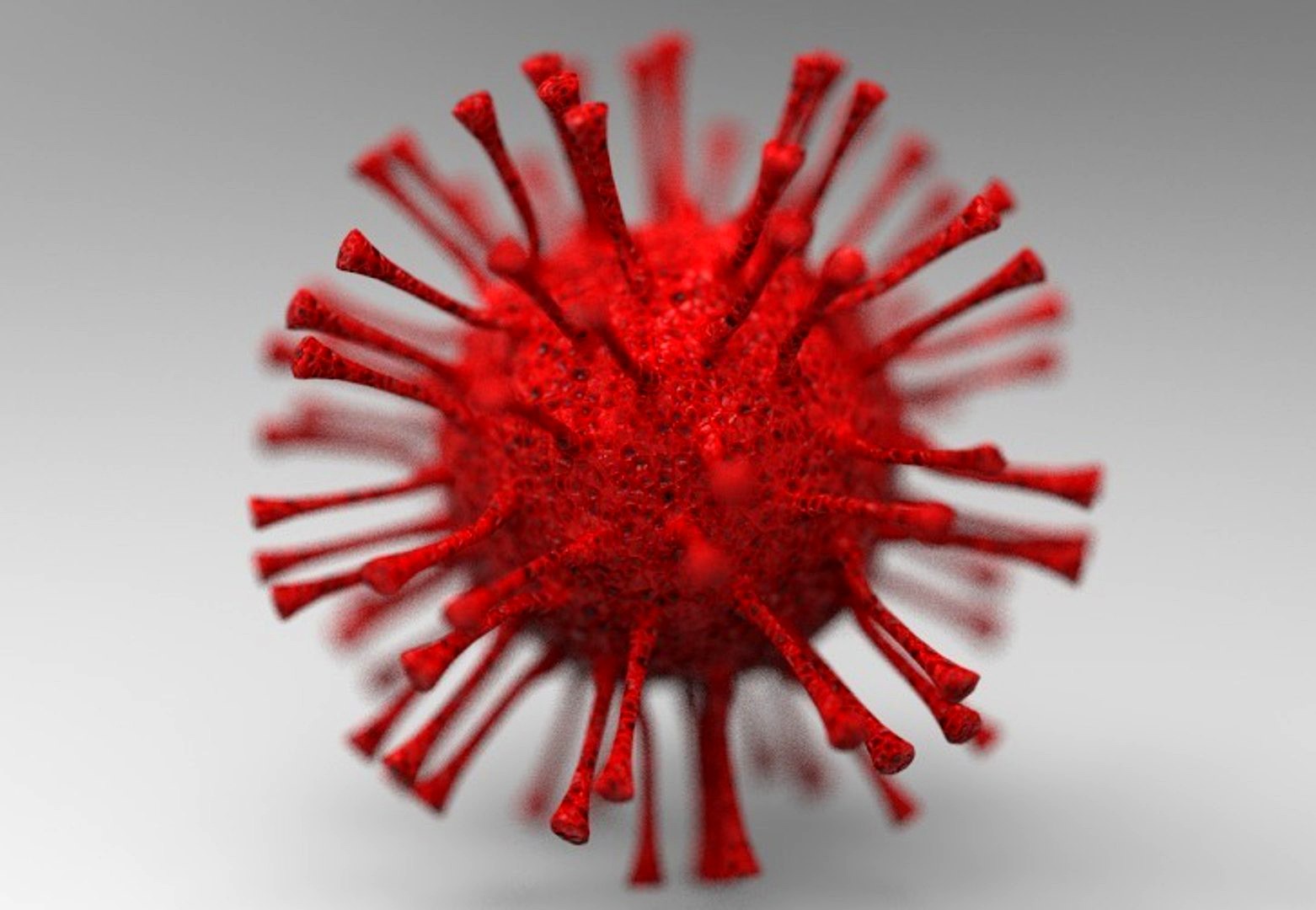 Virus - Corona Virus