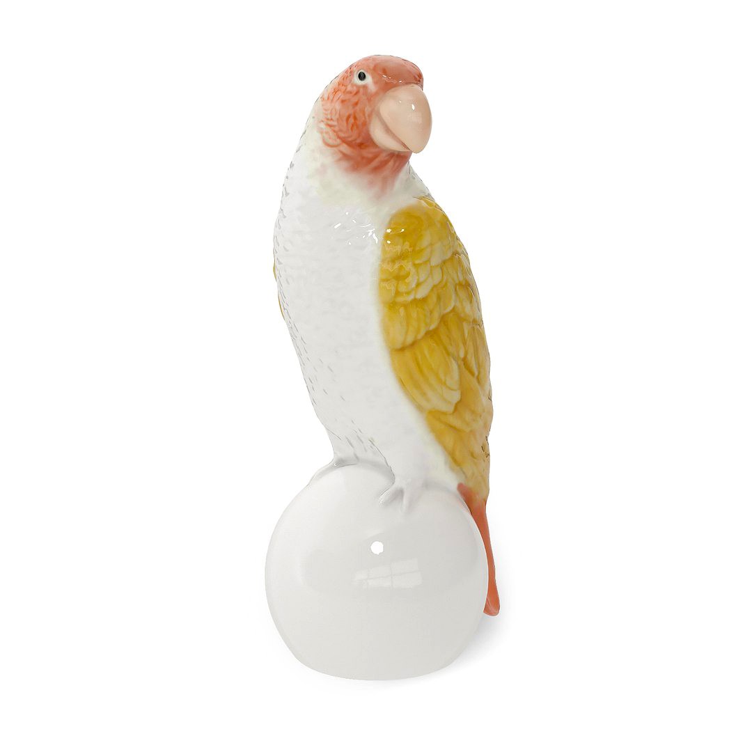 Vase Parrot