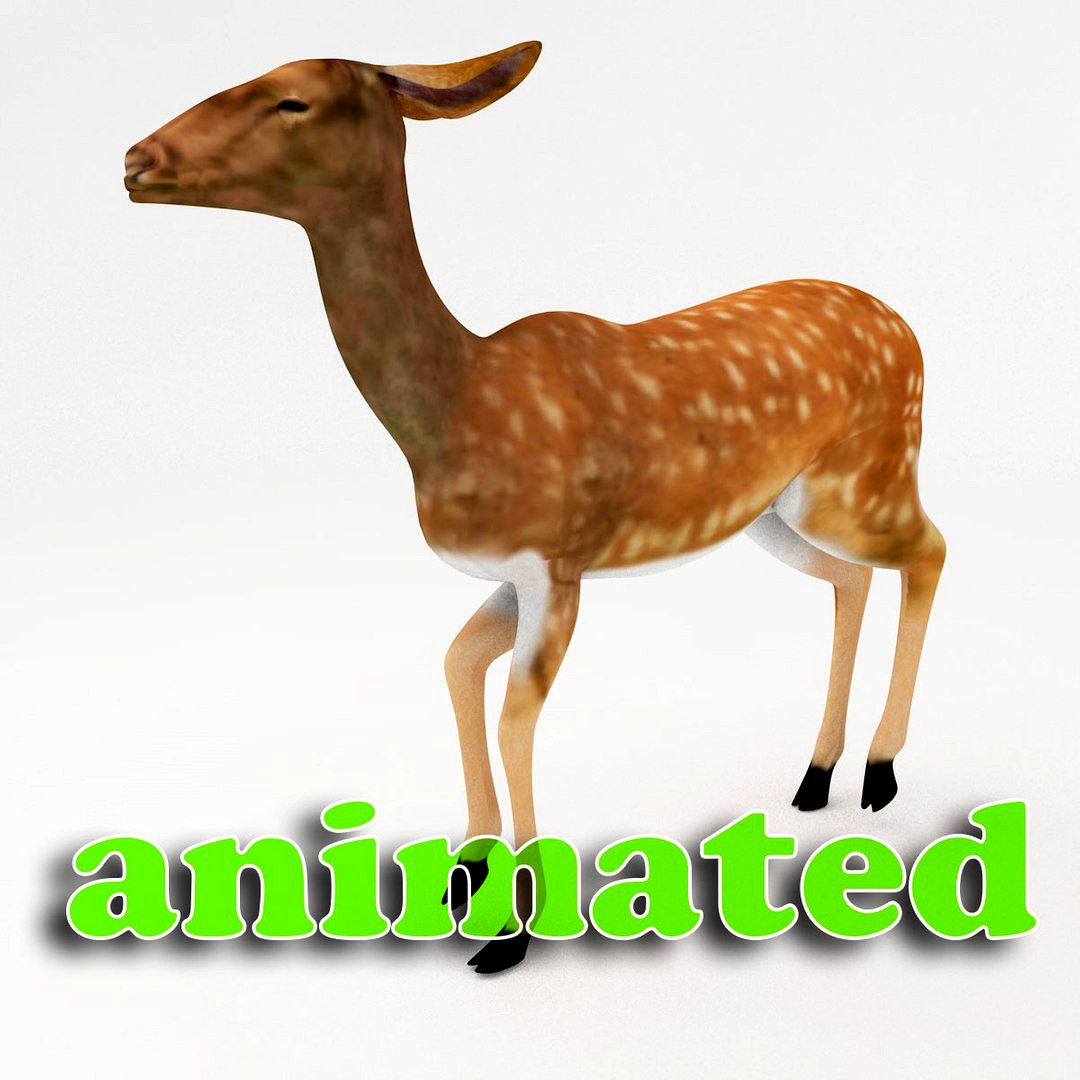 deer