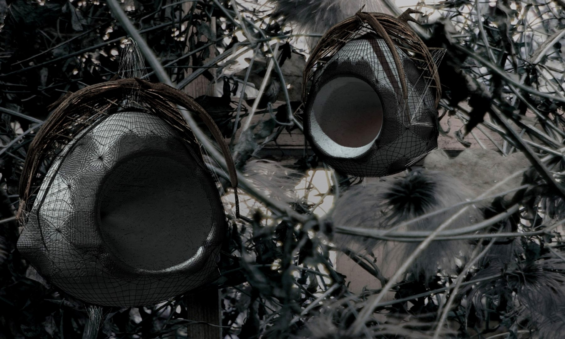 nest - Lenut