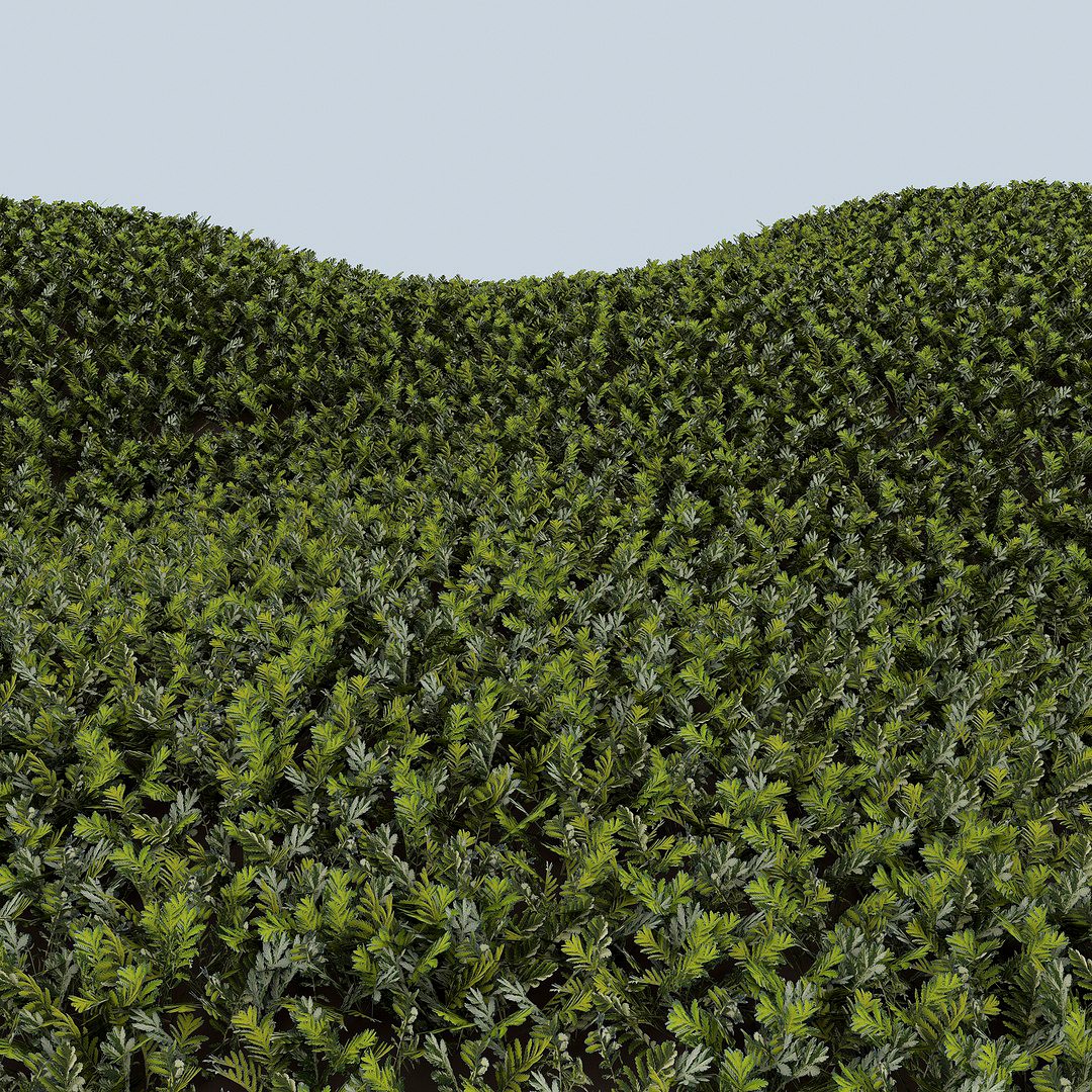 Grass complex leaves 1
