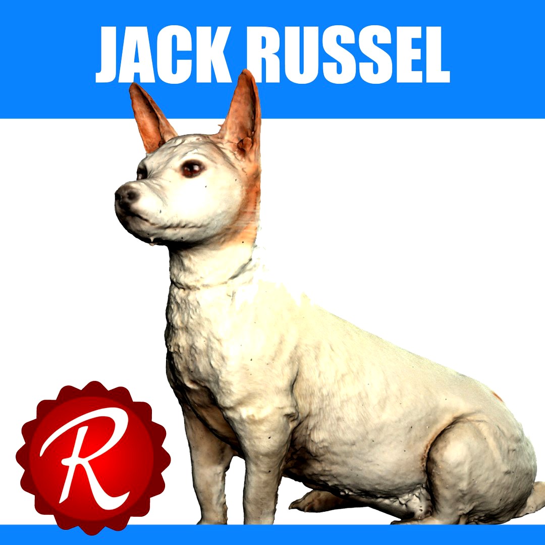 Jack Russel