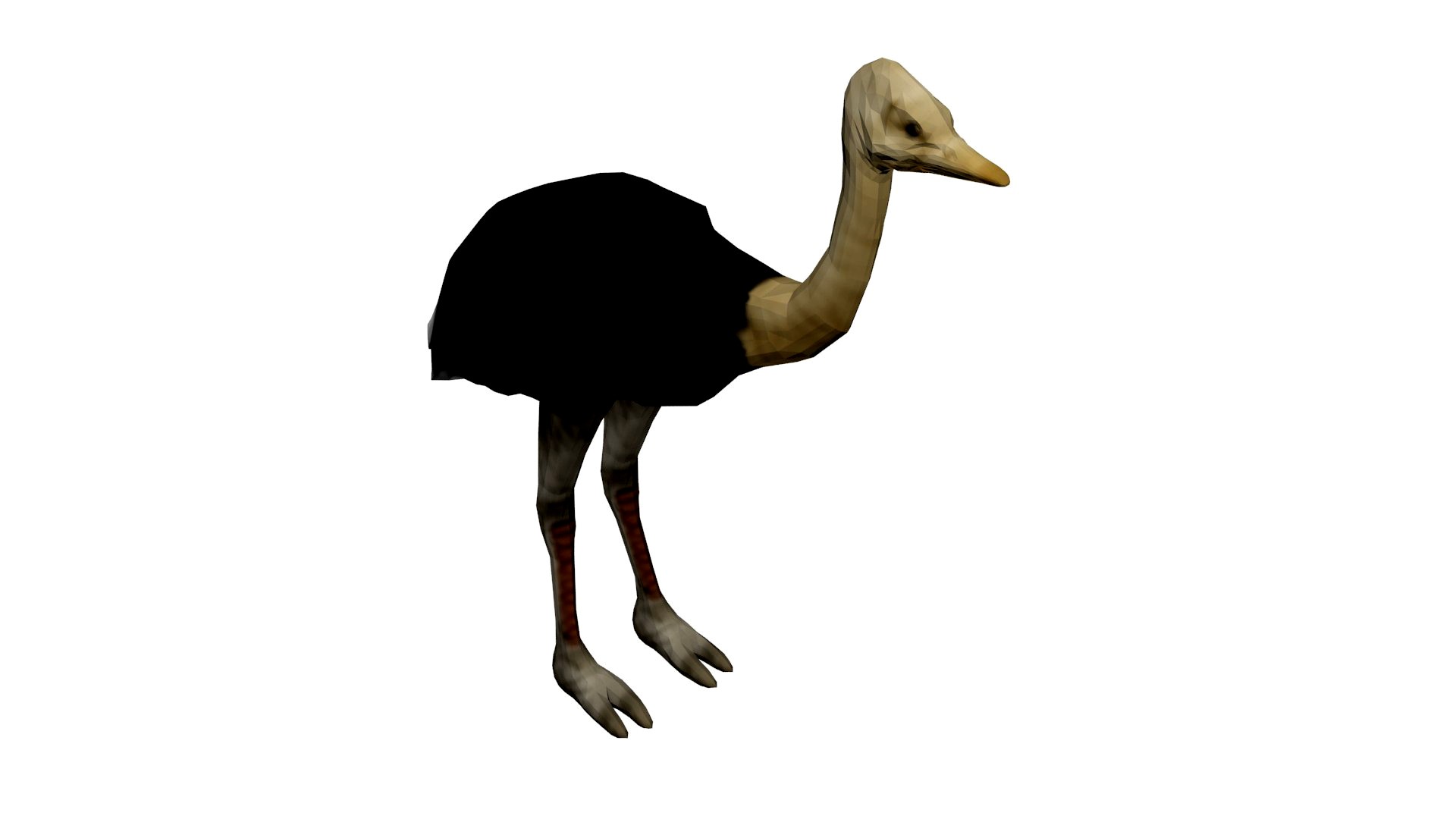 OSTRICH