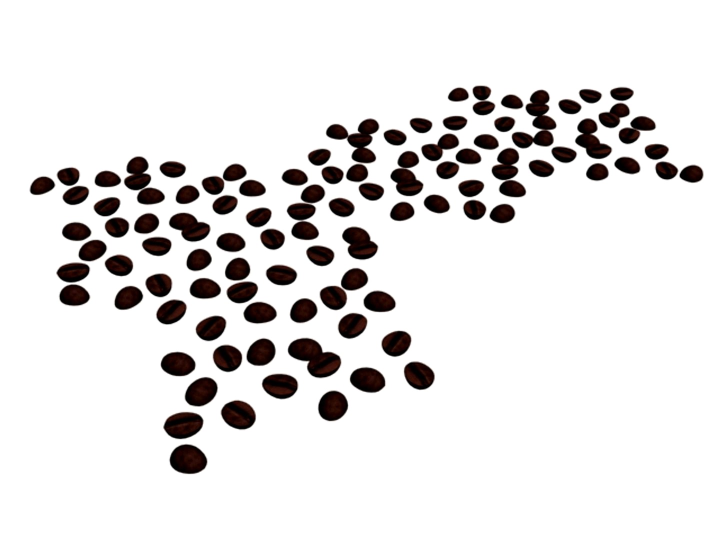 Coffee bean