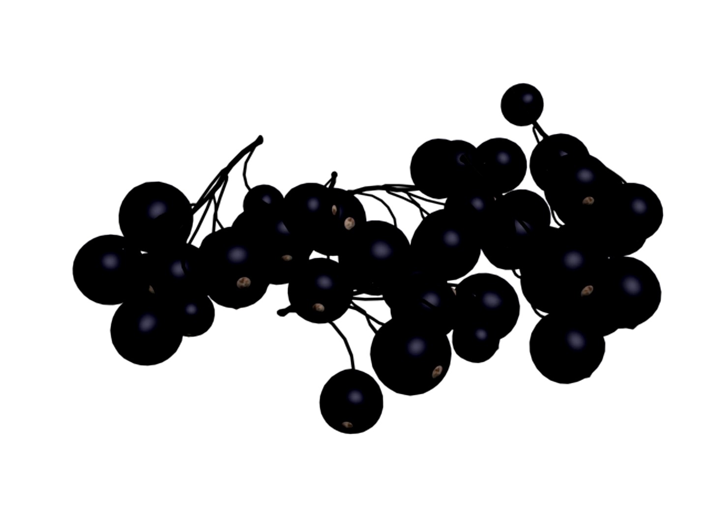 Dark Grapes