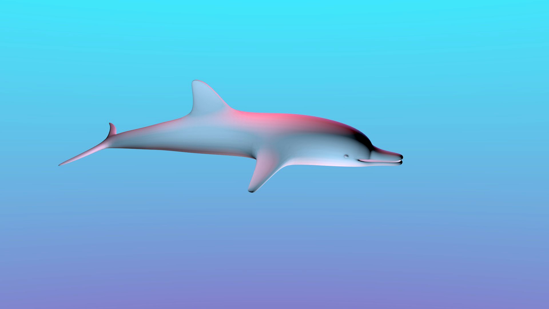Dolphin