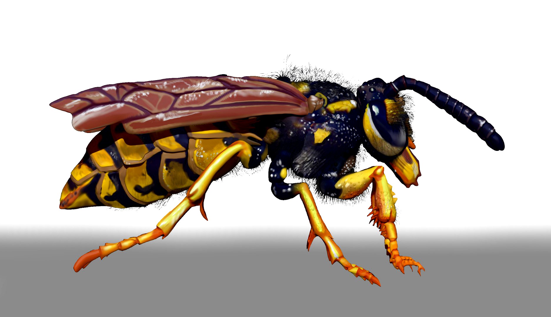 Wasp Character