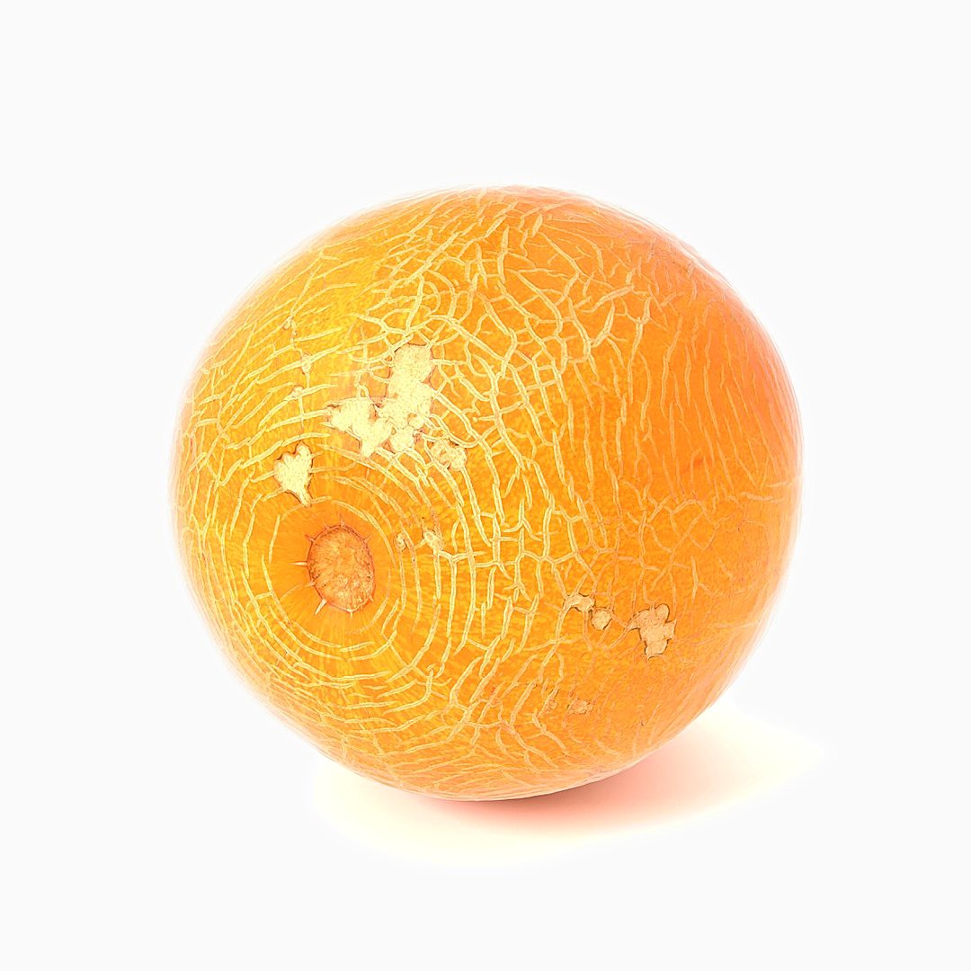 Melon