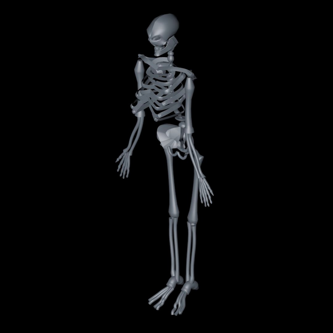skeleton
