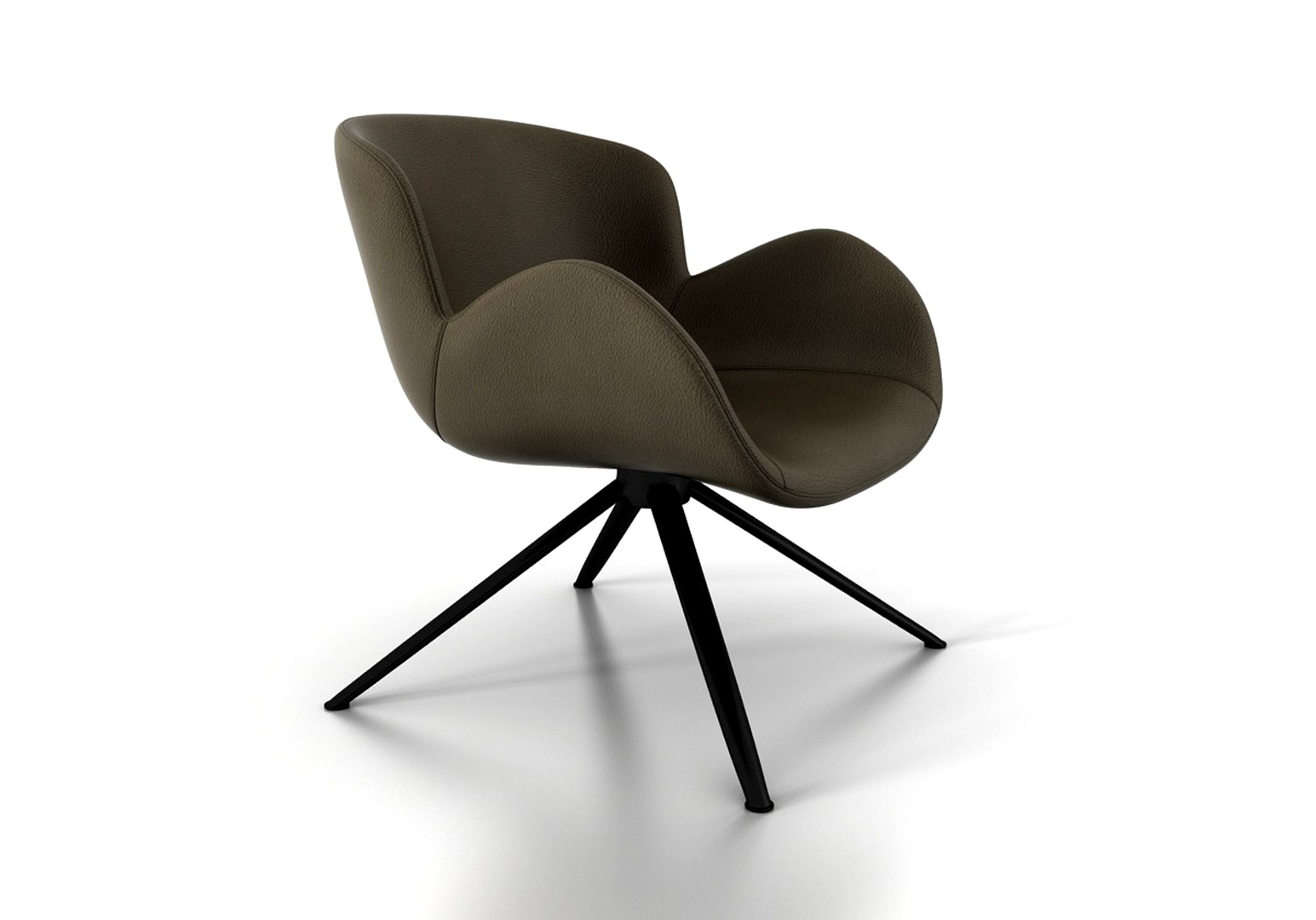 Leisure armchair model