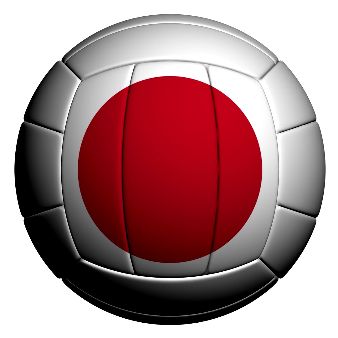 Volleyball ball Japan