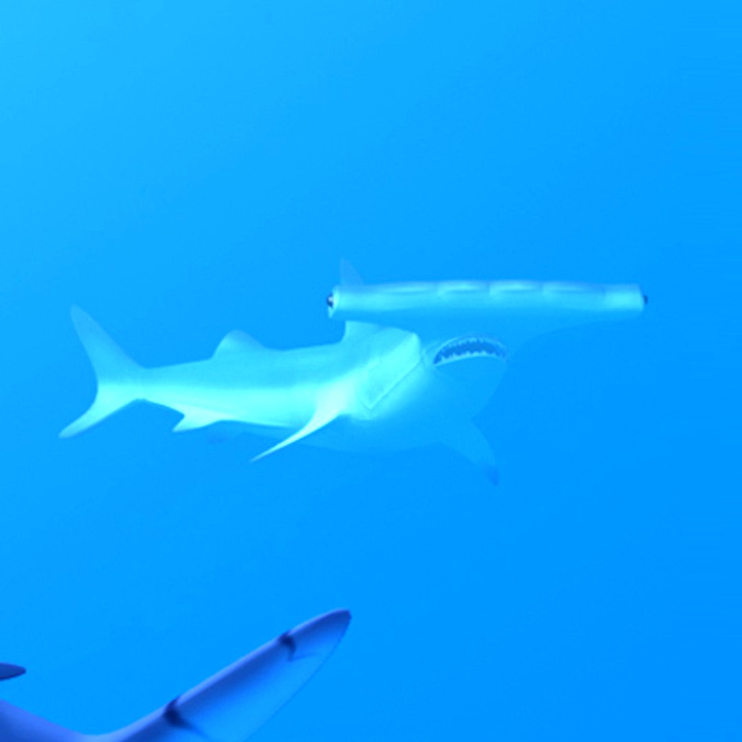 HammerHead