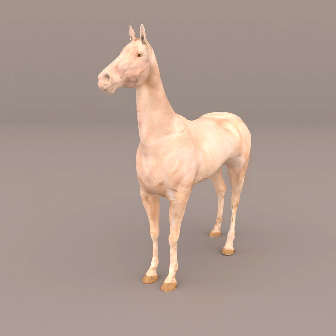 Horse Akhal-Teke Gold Champagne (Fur)