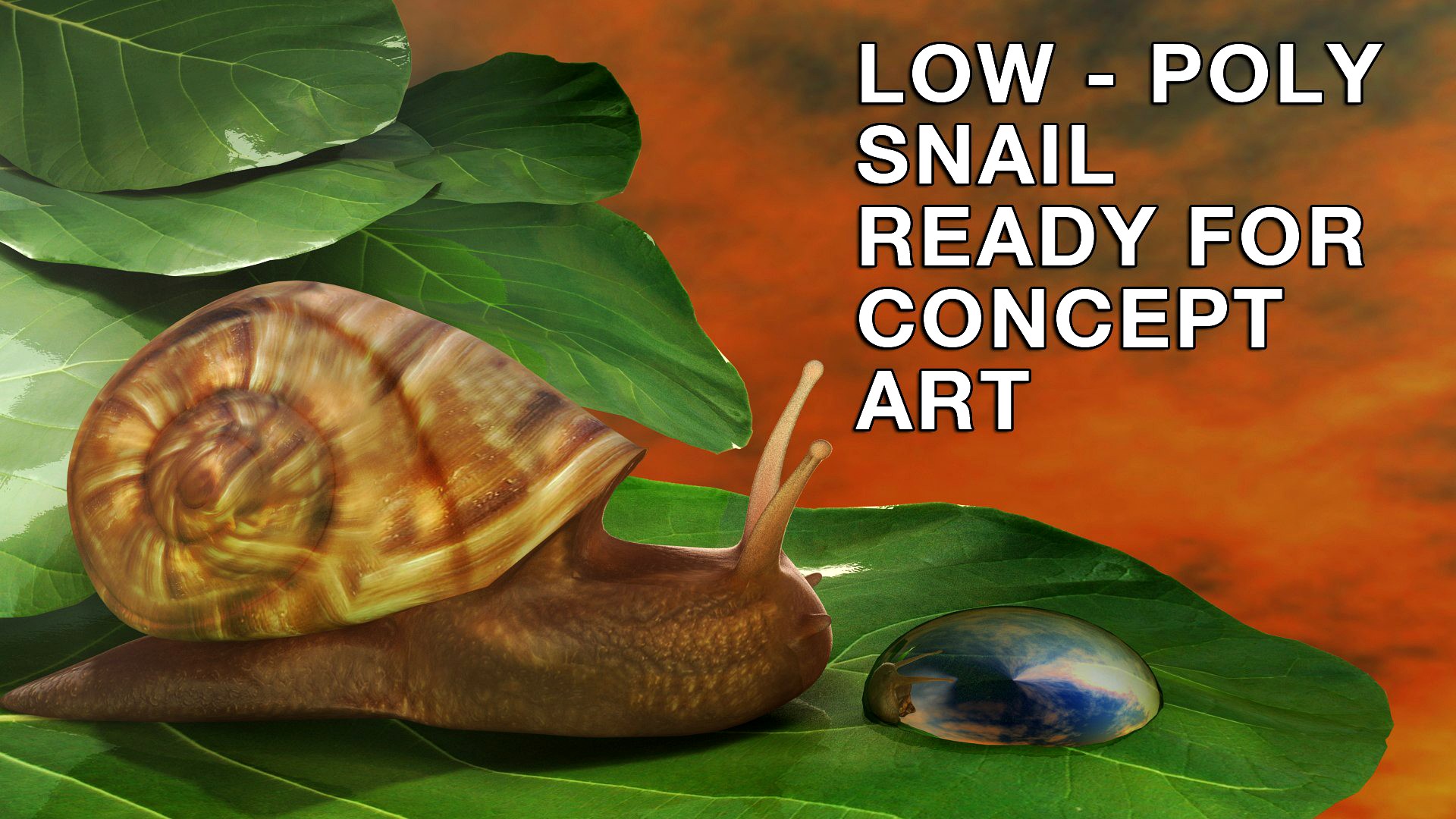 Snail