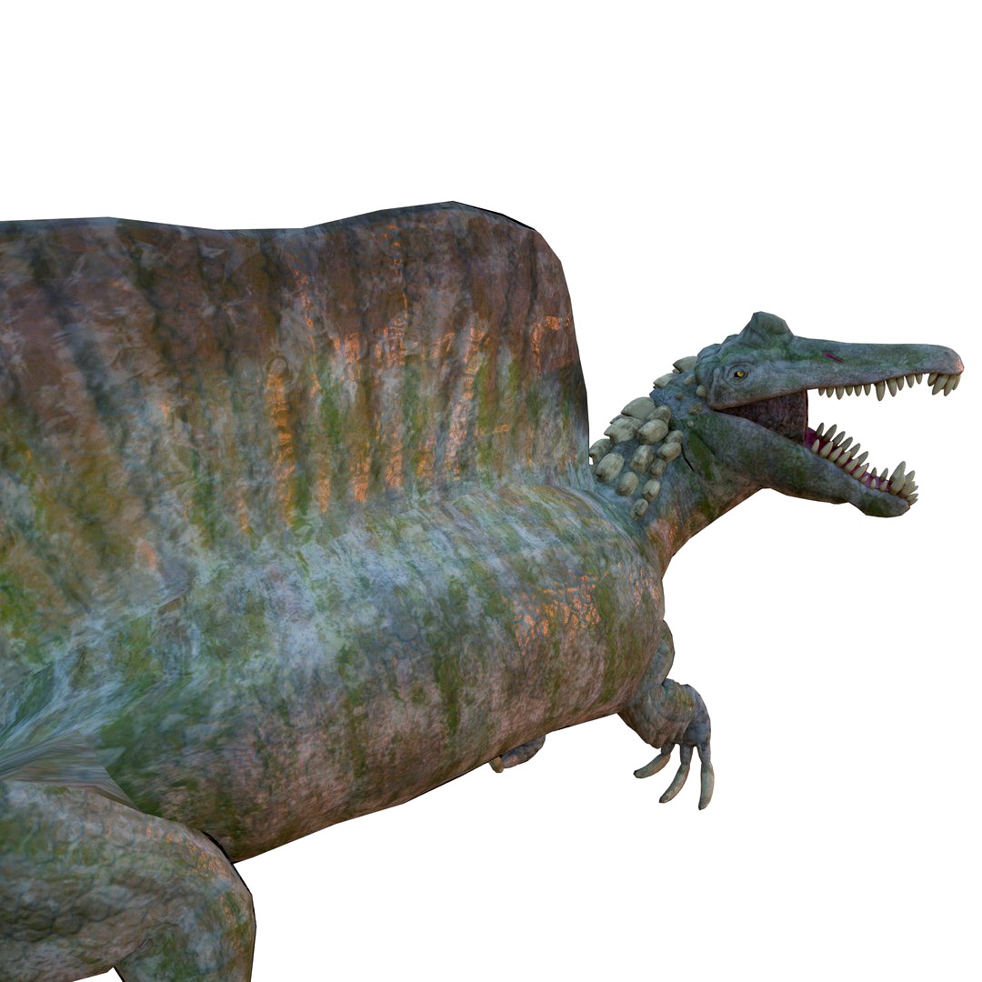 Spinosaurus Rigged