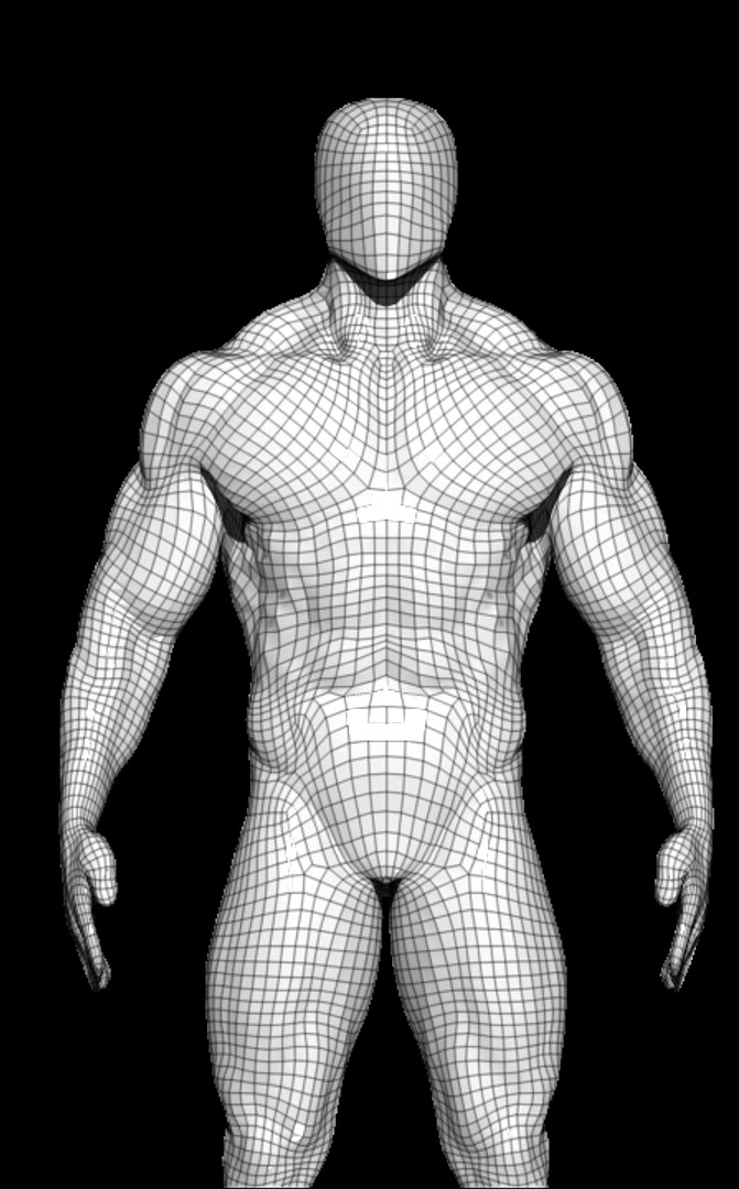 base mesh