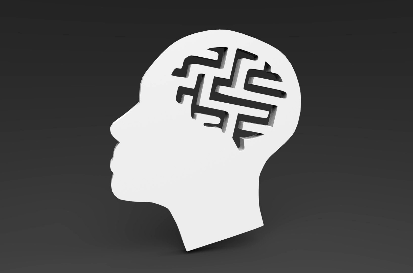 Head Puzzle