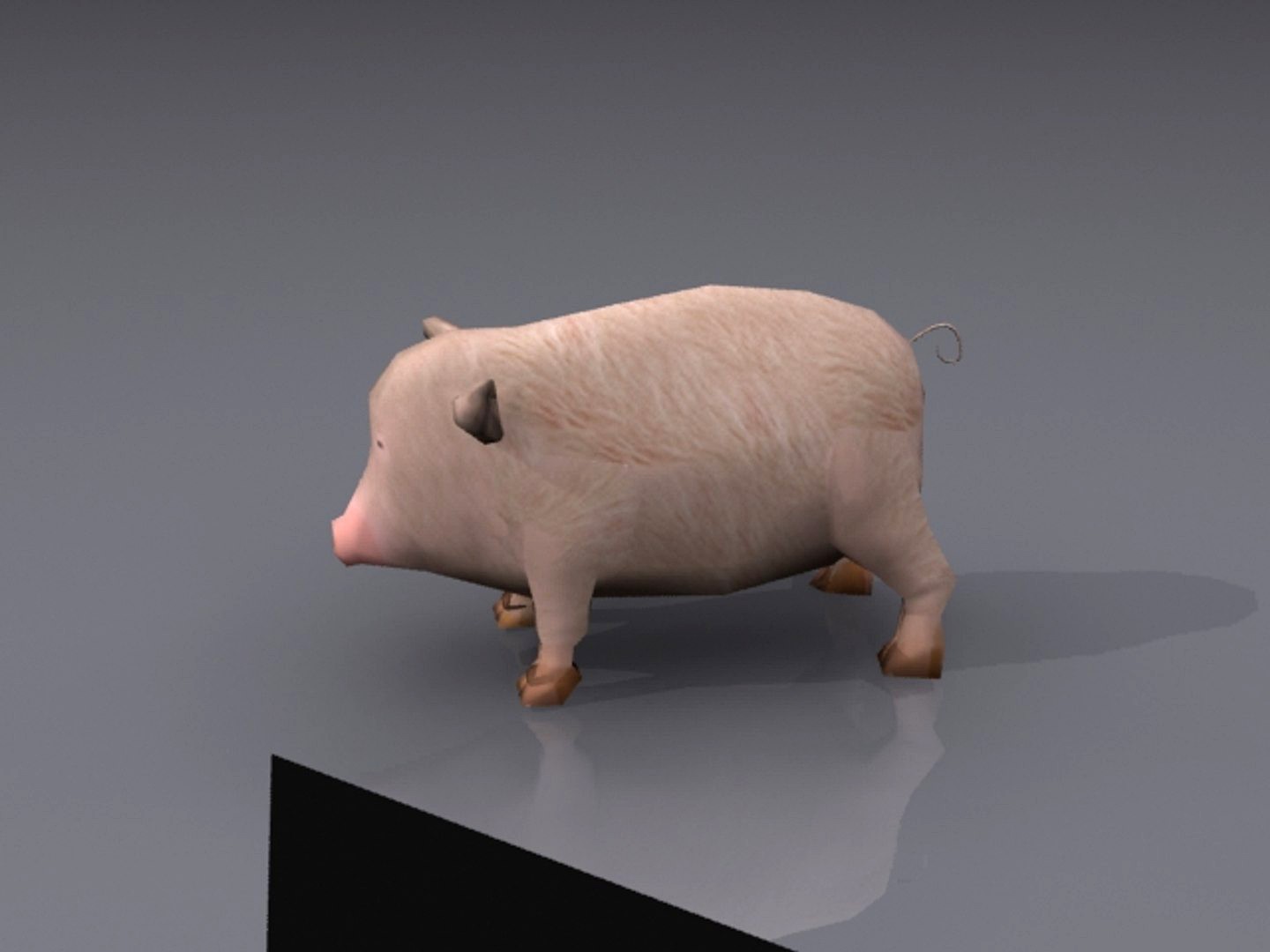 pig
