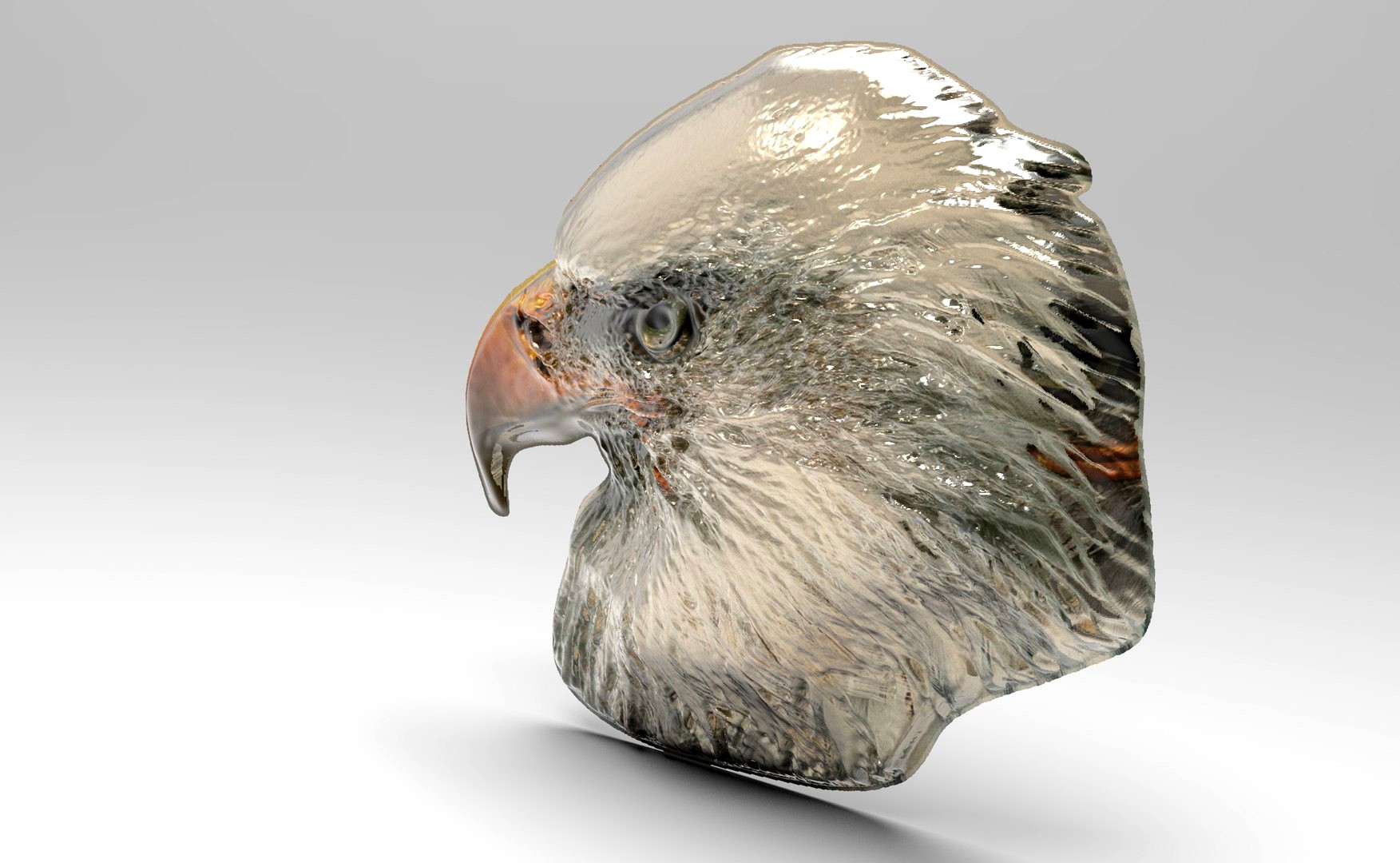 bald eagle relief
