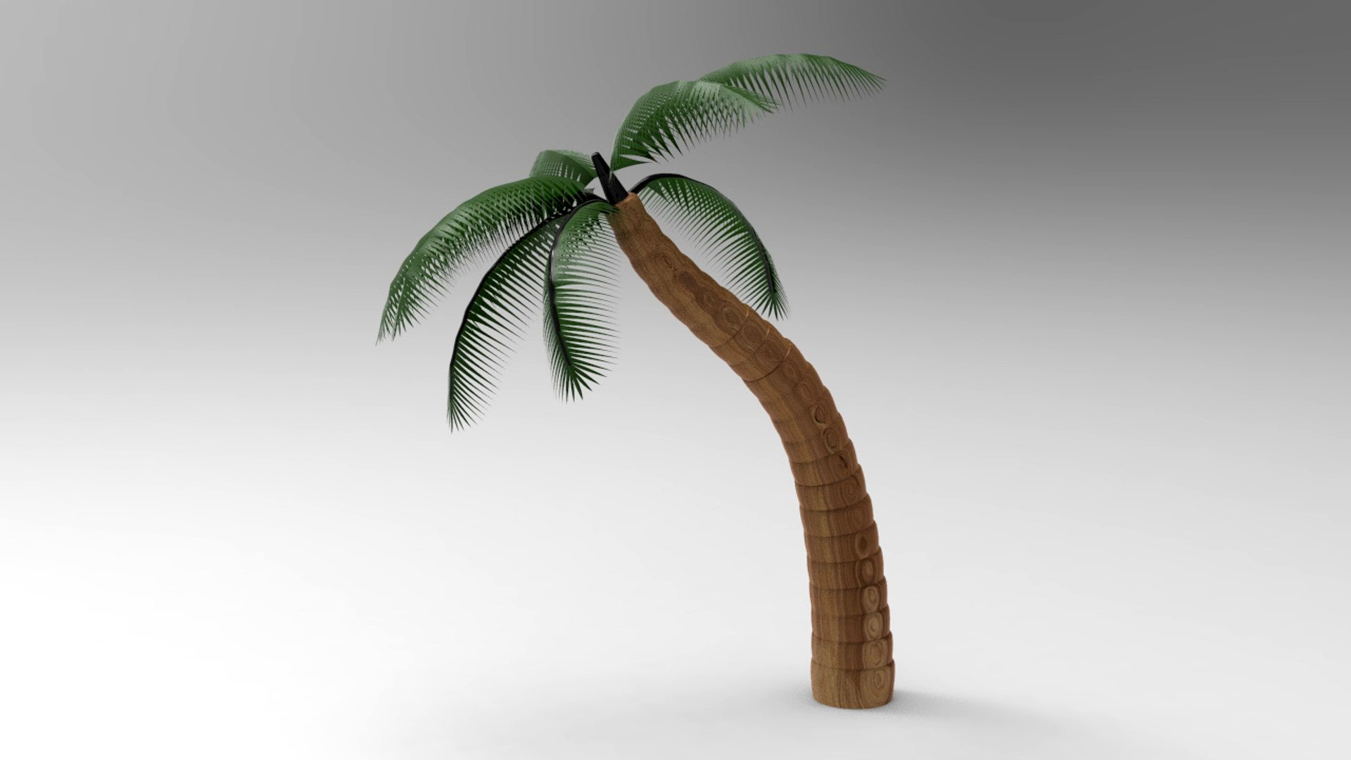 Nurbs Palm Tree