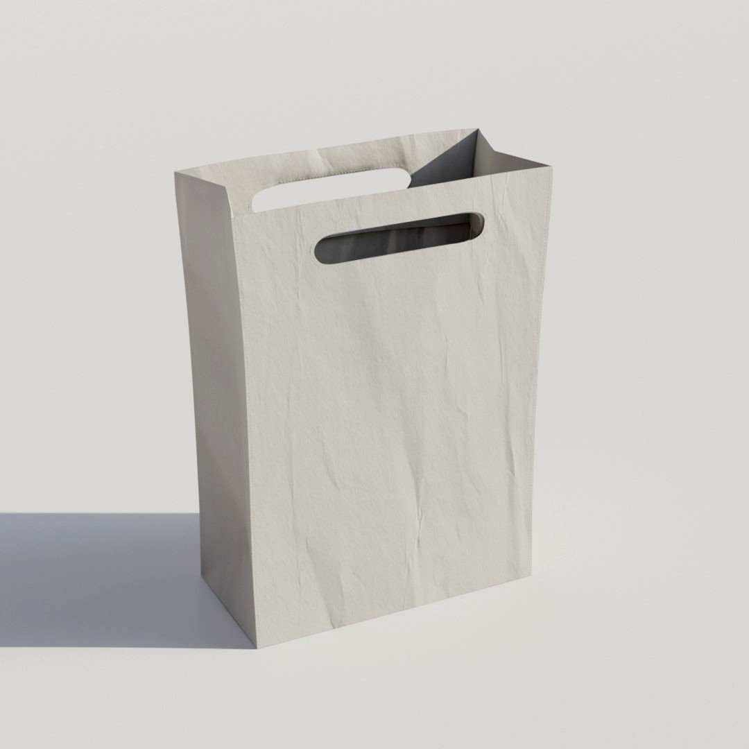 Paper Bag