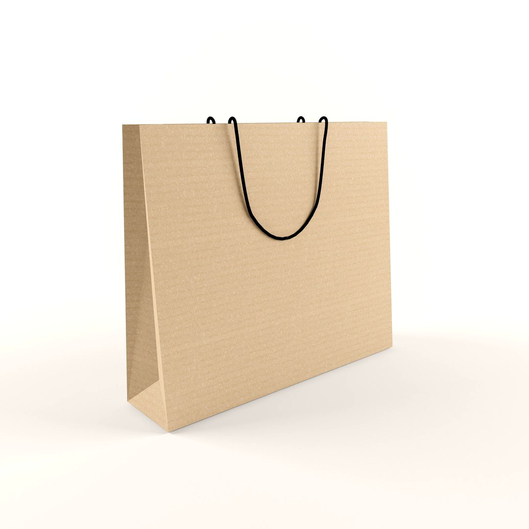 Paper bag