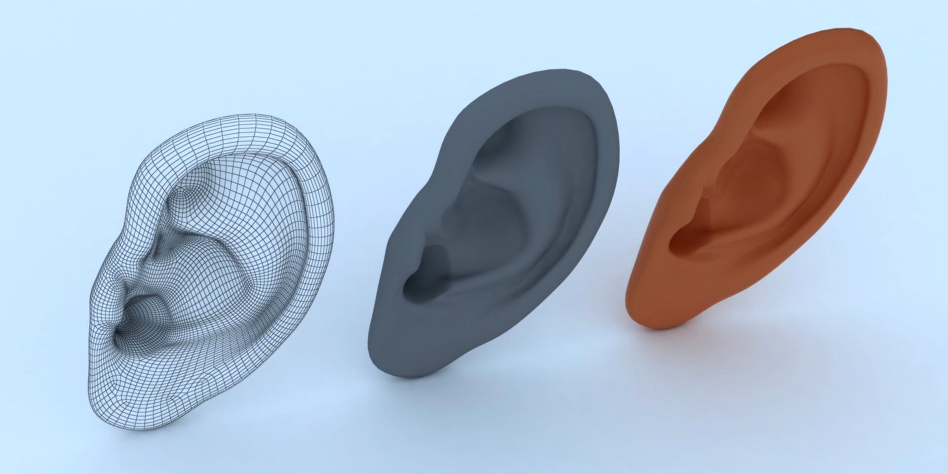 Ear