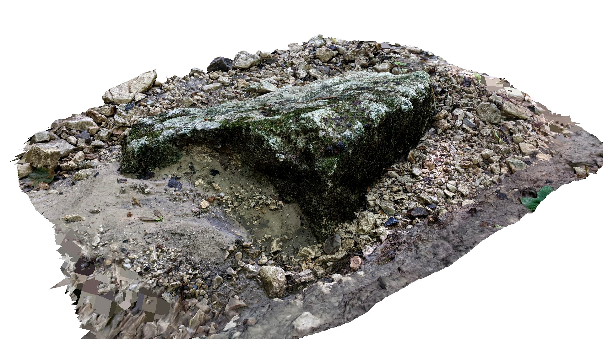 Mossy rock scan