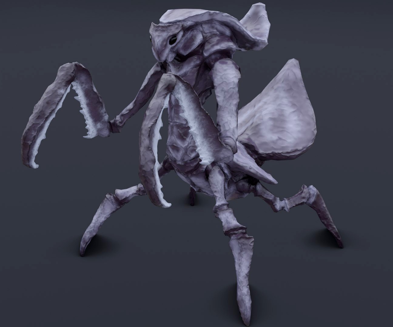 Praying Mantis