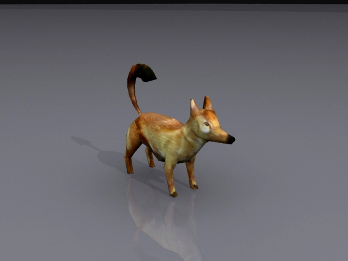 fox