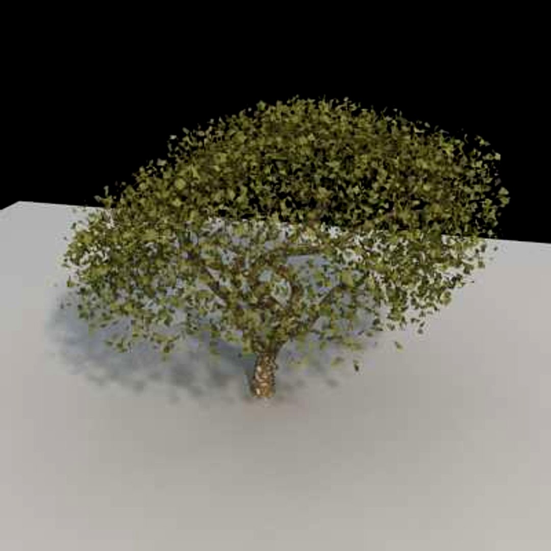 Oak-01vray.max