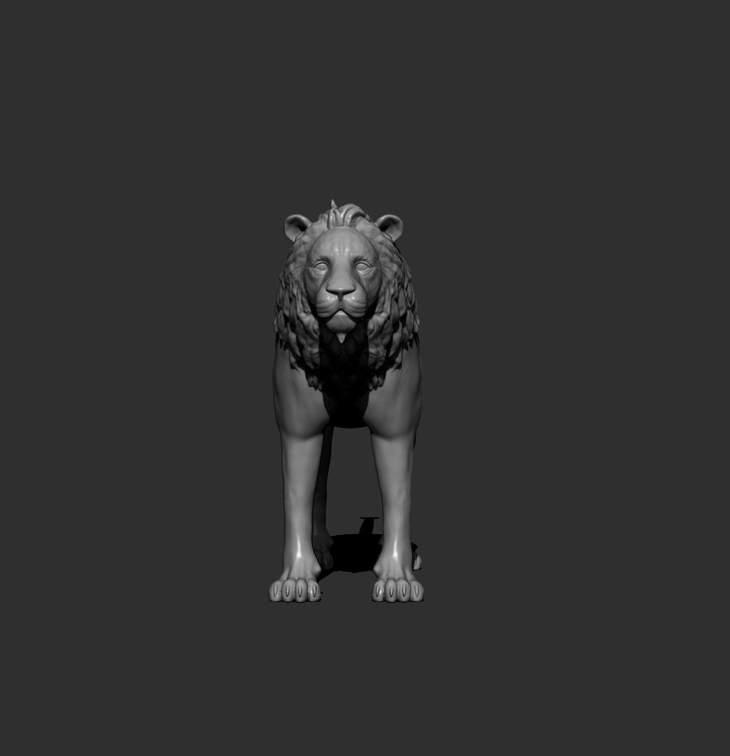 lion