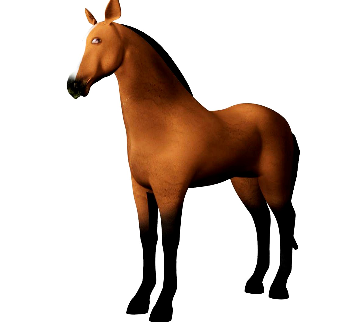 3D Horse Rigged and Animated