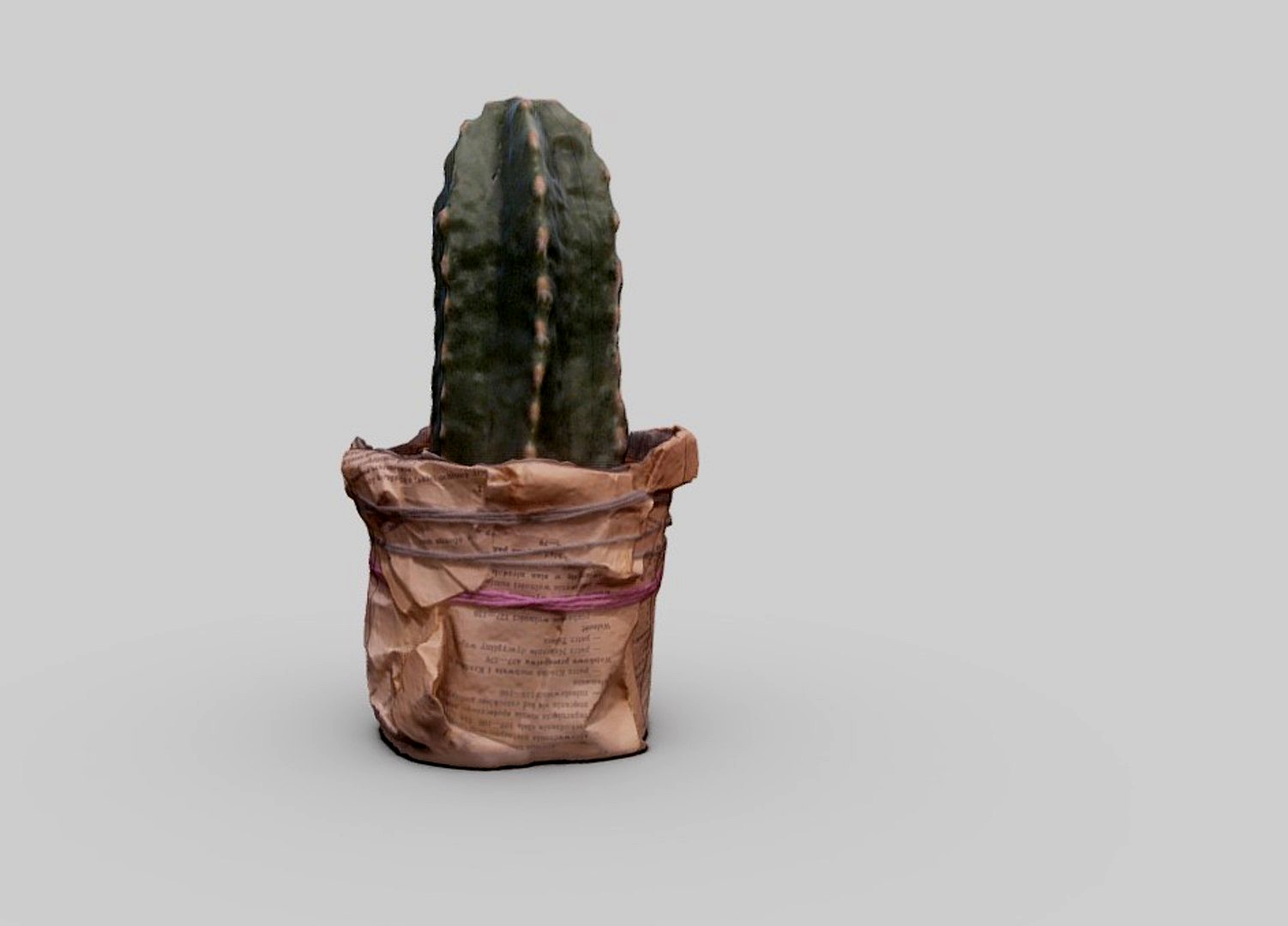 Cactus Scan