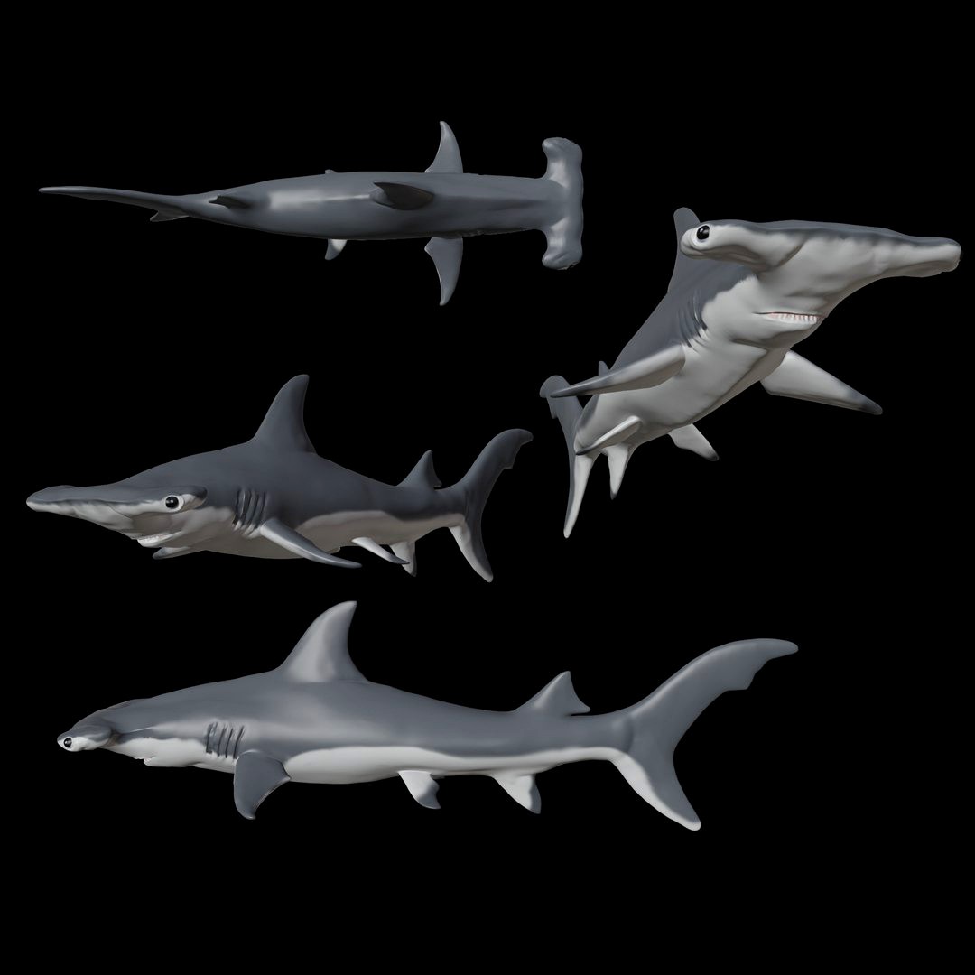 Hammerhead Shark 3D Print